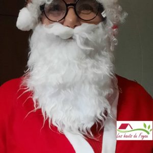 Joyeux Noël et Bonne Année 2021 - Merry Christmas and Happy New Year 2021